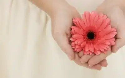 Quelles sont les étapes du deuil ?